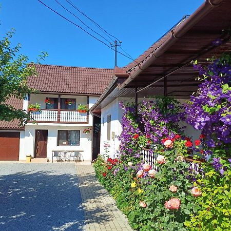 Apartmán Casa Sallai Sovata Exteriér fotografie