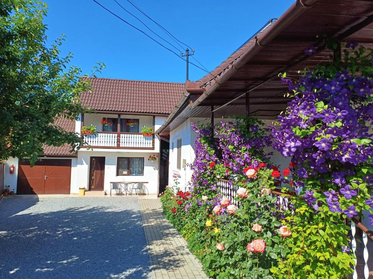 Apartmán Casa Sallai Sovata Exteriér fotografie